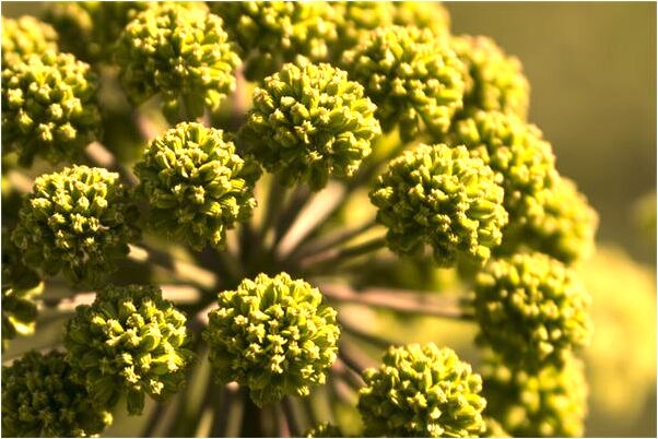 夢見受委屈了哭了是什麼意思_周公解夢官網