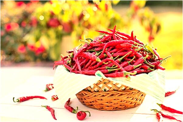 夢見騎著烏龜在水裡游的預兆_周公解夢官網