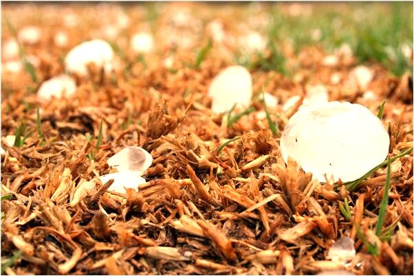 夢到把自己的孩子給別人了意味什麼_周公解夢官網