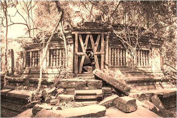 夢到大香菇有什麼意思嗎_周公解夢官網