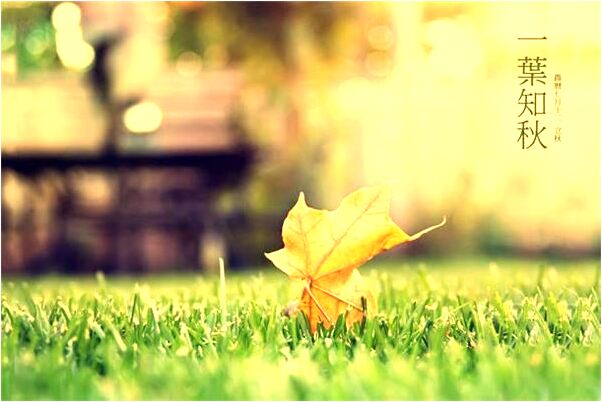 夢到了夢兄見水代表什麼_周公解夢官網