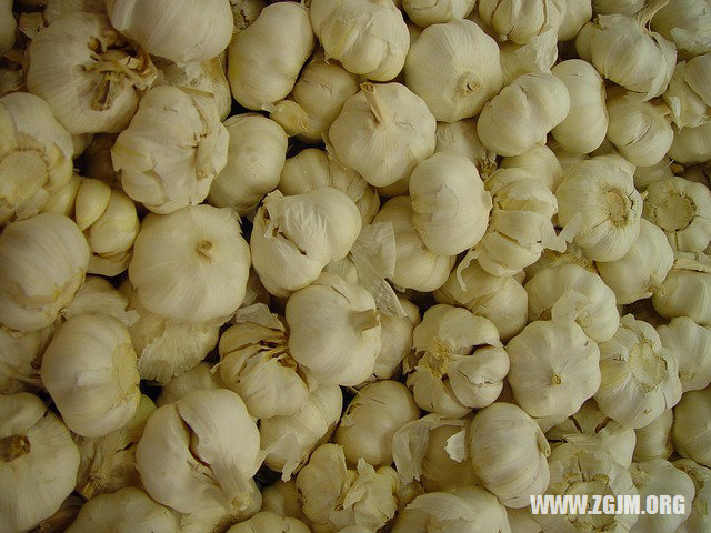 夢見木房子_周公解夢夢到木房子是什麼意思_做夢夢見木房子好不好_周公解夢官網