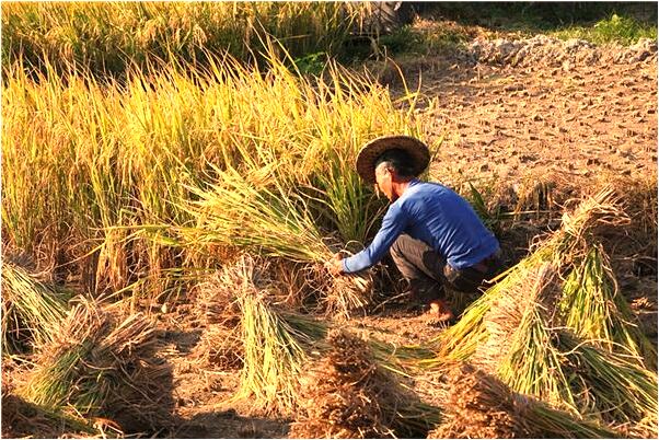 夢到了錯過返程班車是好事還是壞事_周公解夢官網