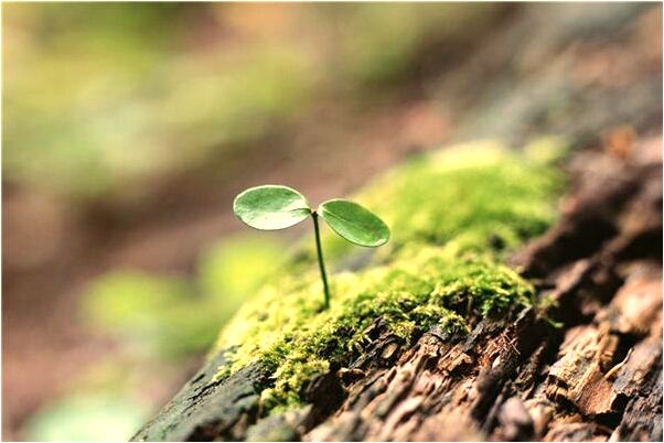 夢到了在地面以下爪活魚怎么樣_周公解夢官網