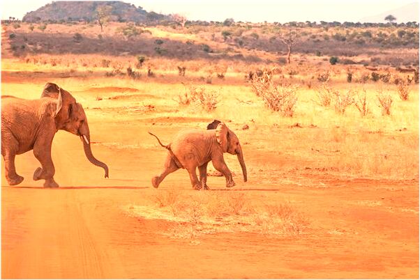 夢到了陌生的舅媽年輕漂亮有什麼徵兆_周公解夢官網