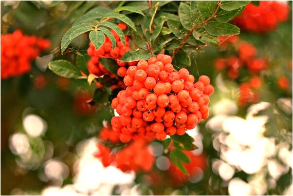 夢到了手機變成藍顏色了是啥預兆_周公解夢官網