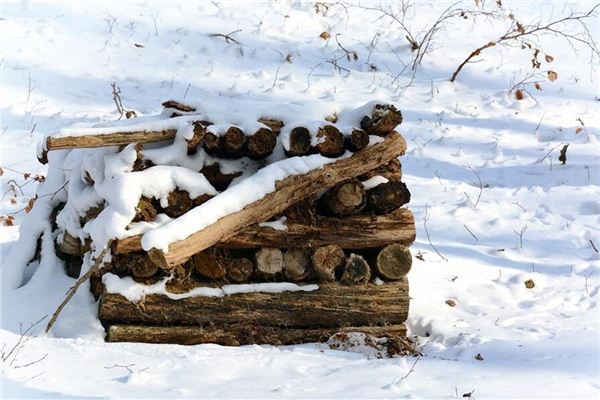 夢見拾柴火是什麼意思_周公解夢