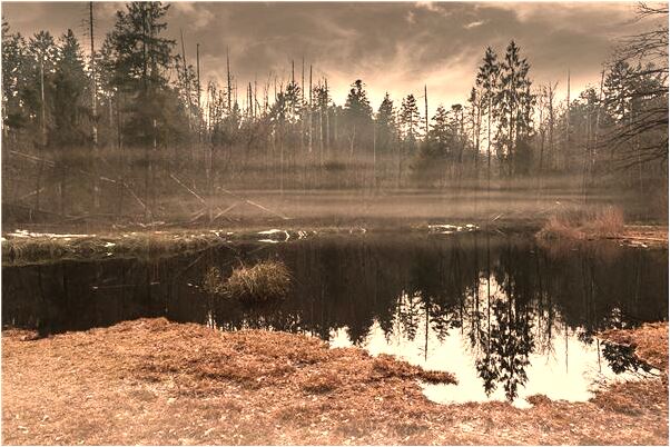 夢到頭皮破了裡面有很多青菜有什麼寓意嗎_周公解夢官網