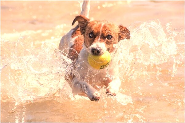 夢到男朋友生命垂危是什麼徵兆_周公解夢官網
