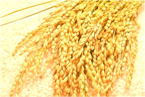 夢到考試沒帶筆會怎么樣_周公解夢官網