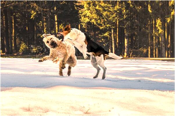 夢見被別人捅流了很多血有什麼意思嗎_周公解夢官網
