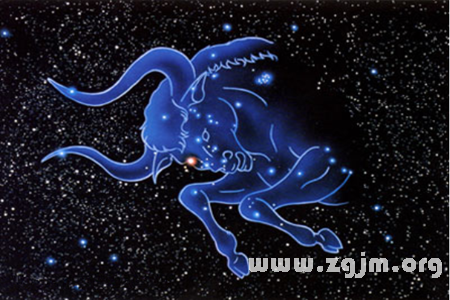 Taurus _ the zodiac entangled in a relationship