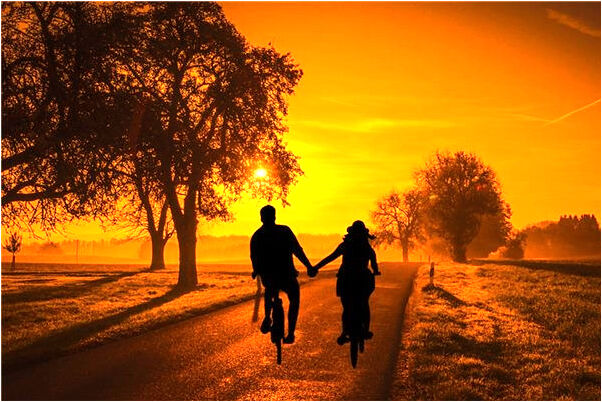 夢到了床上爬出好多黑色蟲子是什麼意思_周公解夢官網