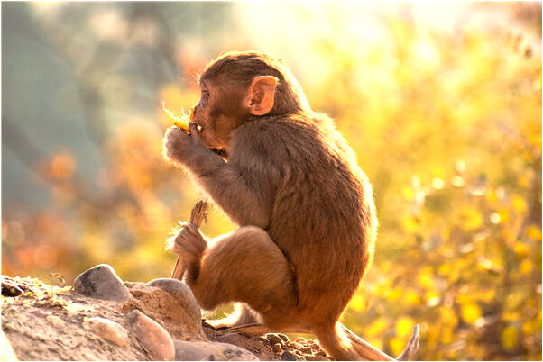 夢到母親弄死我是什麼意思？_周公解夢官網