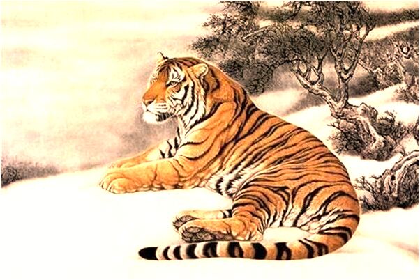 夢到血淋淋的活人是好是壞_周公解夢官網