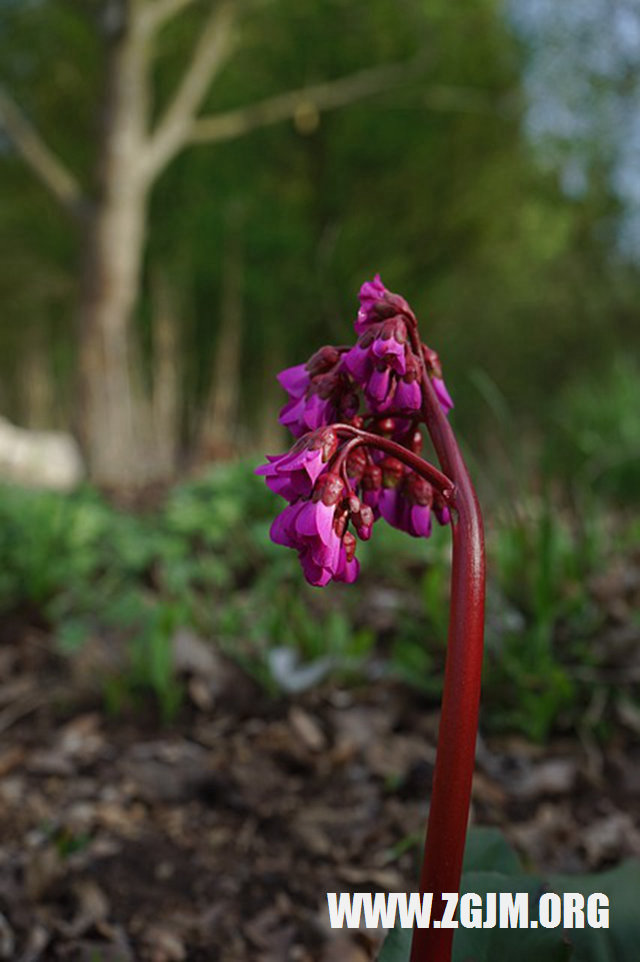 夢見男朋友光膀子_周公解夢夢到男朋友光膀子是什麼意思_做夢夢見男朋友光膀子好不好_周公解夢官網