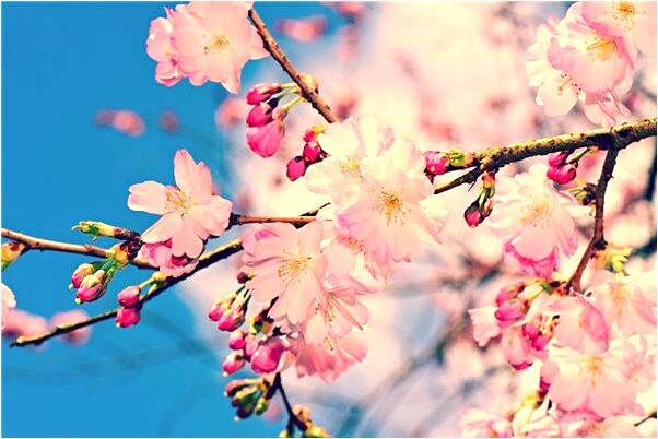 夢見和死去的親人一起生活是什麼意思？_周公解夢官網