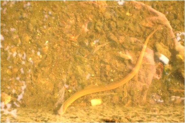 夢到無線網卡作用有何寓意_周公解夢官網