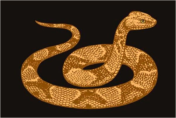 夢到和軍隊一起去打戰是什麼啟示_周公解夢官網