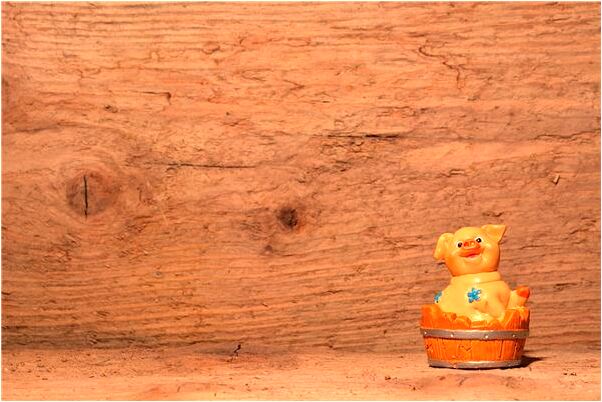 夢到了燒紙錢被人分有何寓意_周公解夢官網