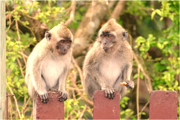 夢見別人脖子長玻璃預兆了什麼嗎_周公解夢官網