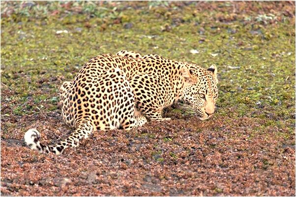 夢到自己試穿衣服褲子代表著什麼？_周公解夢官網