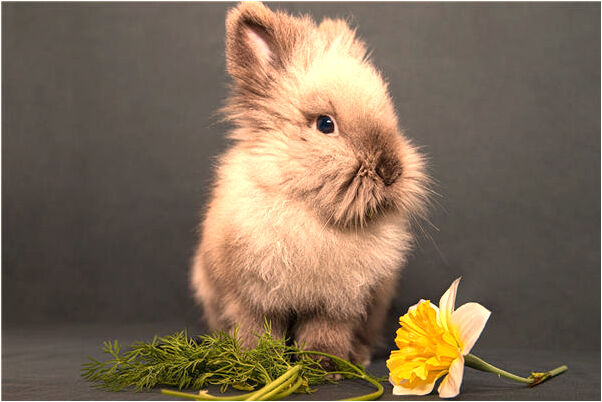 夢到了油撒了一地是什麼兆頭_周公解夢官網