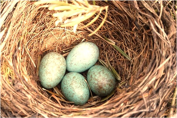 夢到了把人殺了見血了有什麼預示嗎_周公解夢官網