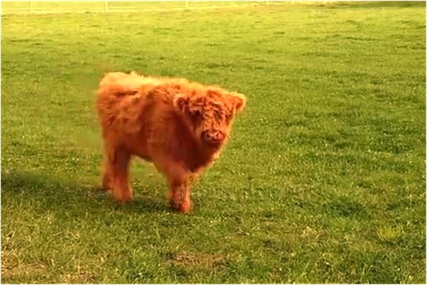 夢見賣手錶有什麼意思嗎_周公解夢官網