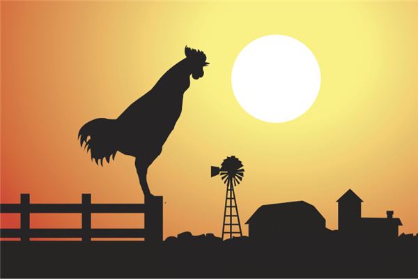 93年屬雞女和什麼最配_十二生肖