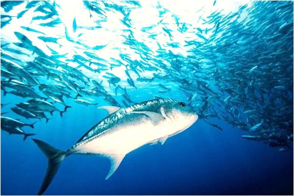 夢到坐月子少婦在路上走會怎么樣_周公解夢官網