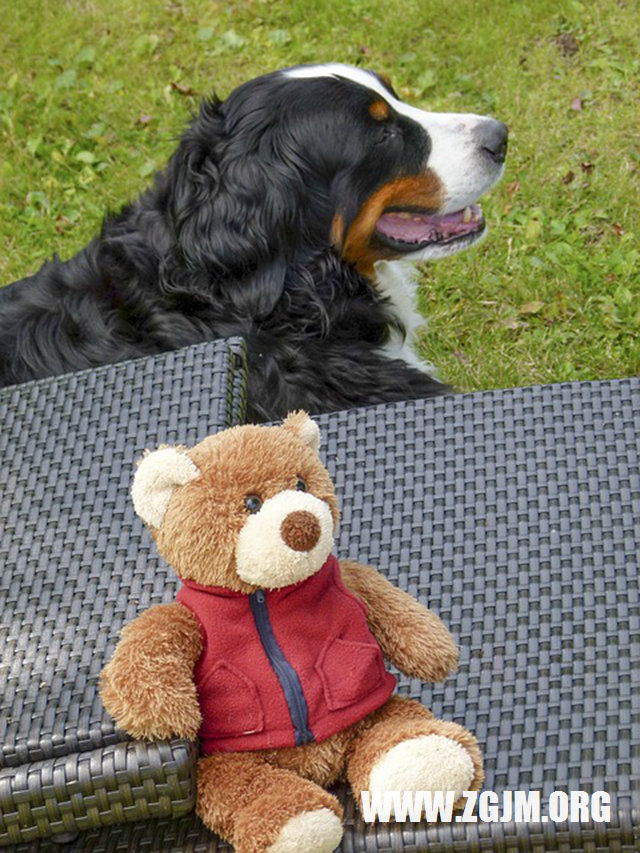 夢見下雨開車送人_周公解夢夢到下雨開車送人是什麼意思_做夢夢見下雨開車送人好不好_周公解夢官網