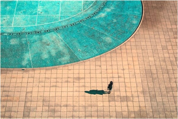 夢到頭頂無髮長包有什麼說法_周公解夢官網