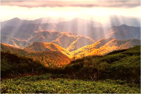 夢到飛下一條大蛇落在房子上有什麼預兆_周公解夢官網