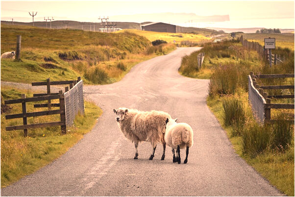 夢到了海里游泳找不到人有什麼預示嗎_周公解夢官網