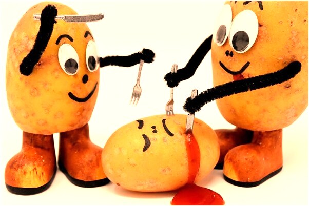 夢到了昨晚檢乾柴是什麼兆頭_周公解夢官網