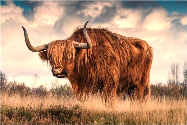 夢到說自己的單位能全額發工資是啥意思_周公解夢官網