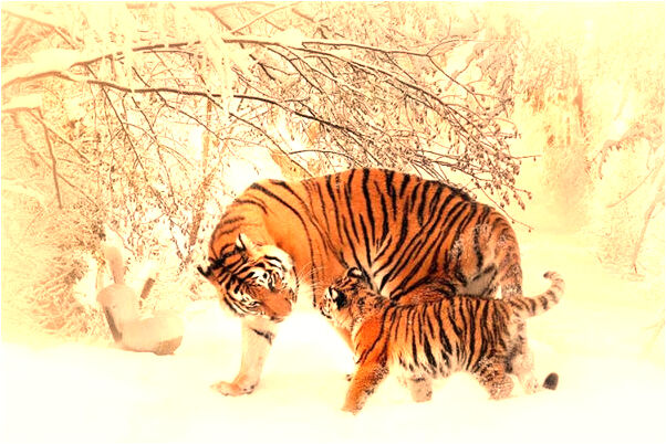 夢到了進牢房在寫作業會是什麼預兆_周公解夢官網