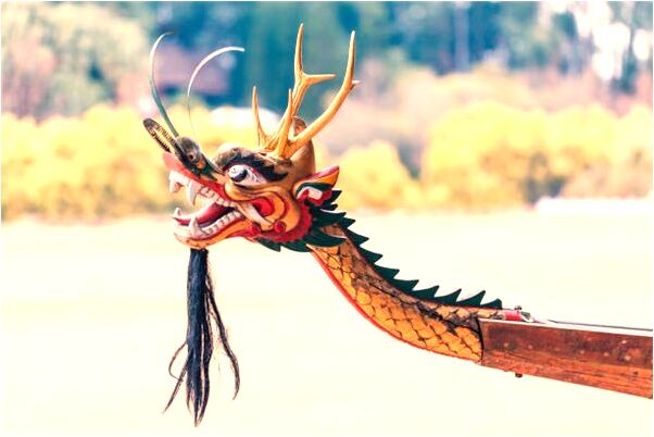 夢見大鱷魚在橫桿上盤著有什麼徵兆_周公解夢官網