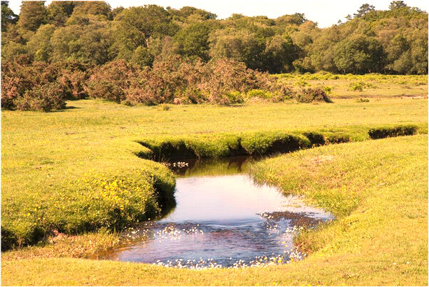 夢見老公和姐姐背叛自己有什麼意思_周公解夢官網