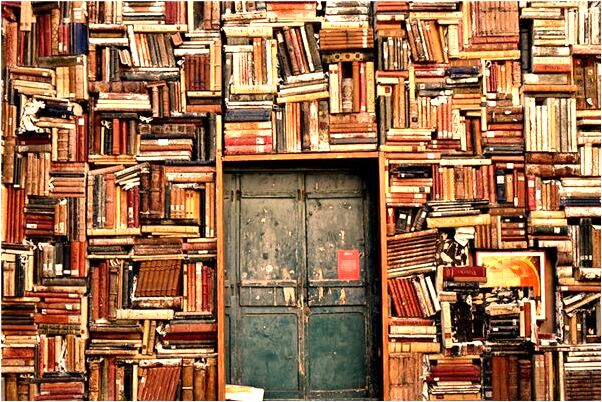 夢到了貓爪子很長是什麼預兆_周公解夢官網