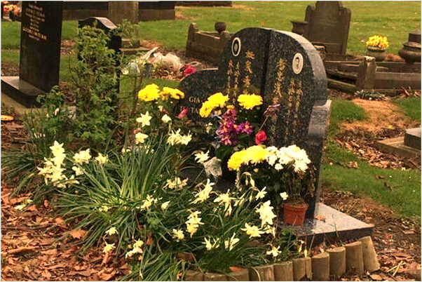 夢到自己嫂子懷孕是什麼徵兆_周公解夢官網