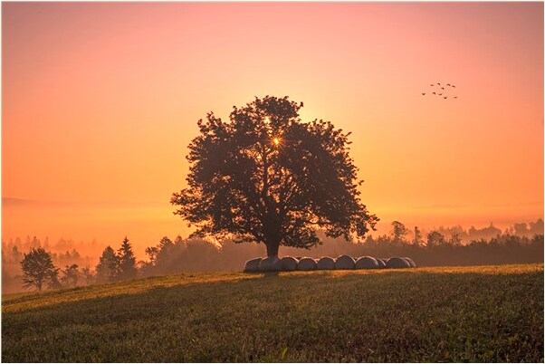夢到了自己握住蛇頭是凶兆還是吉兆_周公解夢官網