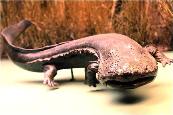 夢到了自己屋門後藏了一個人是吉兆嗎?_周公解夢官網