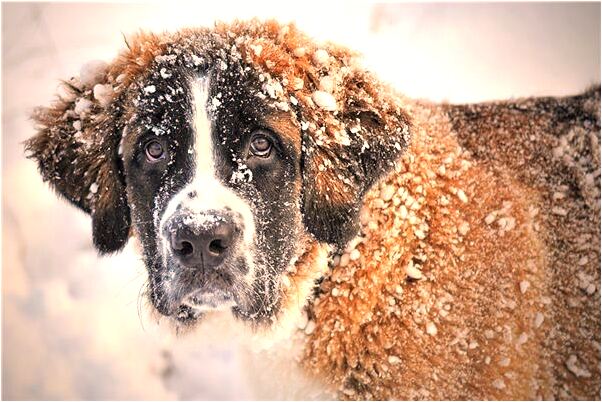 夢到了兒子小時候上我的腳踏車是啥預兆_周公解夢官網