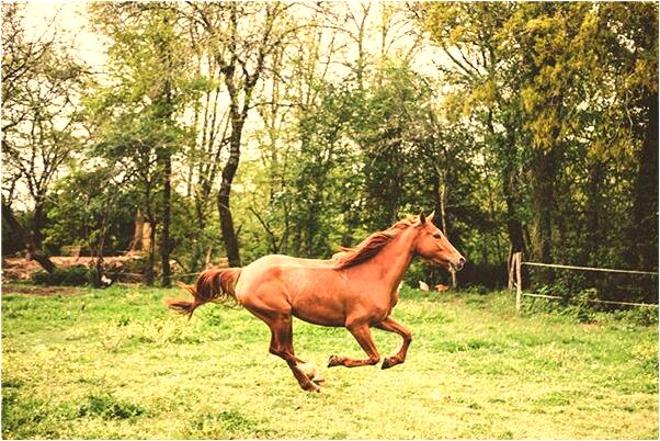 夢到了中獎別人不給錢有什麼徵兆_周公解夢官網