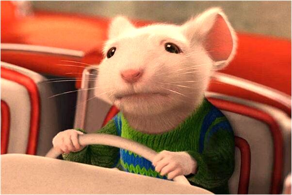 夢到看別人吃雞爪我沒有好不好_周公解夢官網