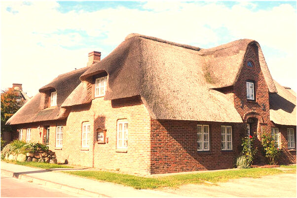 夢見貓叼著老鼠預兆了什麼嗎_周公解夢官網