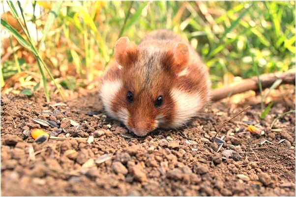 夢到了私人死人活了預示著什麼_周公解夢官網
