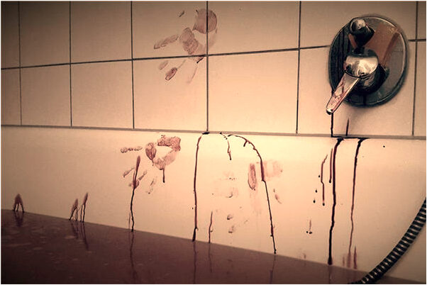 夢到了好多凍魚是啥意思_周公解夢官網